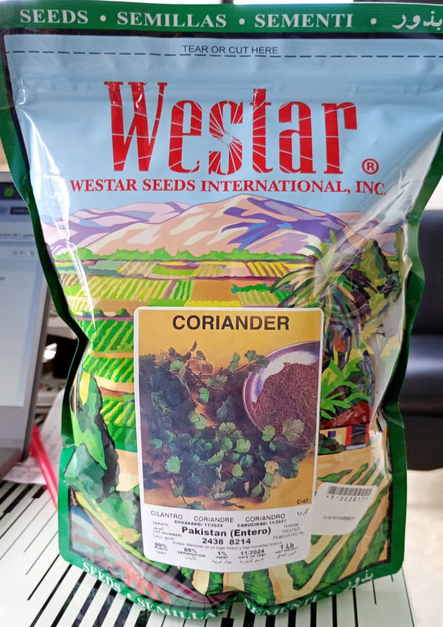 Semilla Cilantro Westar Pakistan 1 Kilo | AgroTerra Guatemala