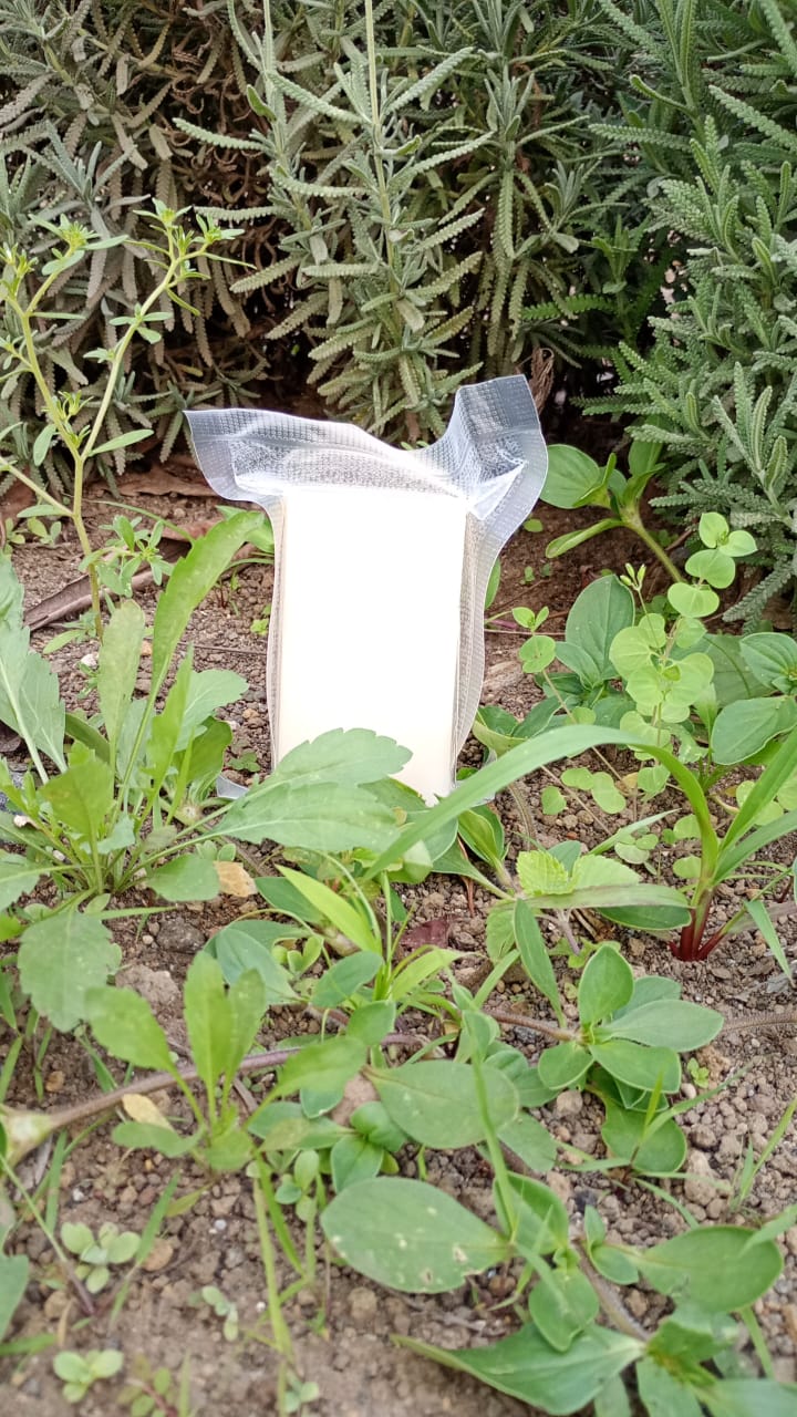 Jabón Shampoo Anticaspa y Anticaida Barra 100 GMS. - Jabón Natural Artesanal | AgroTerra