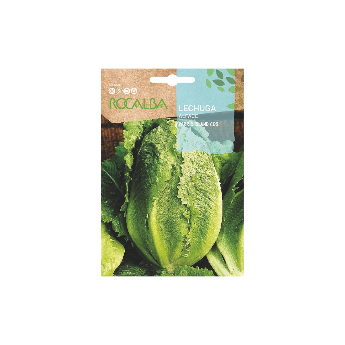 Sobre Semilla Rocalba Lechuga Romana | AgroTerra Guatemala