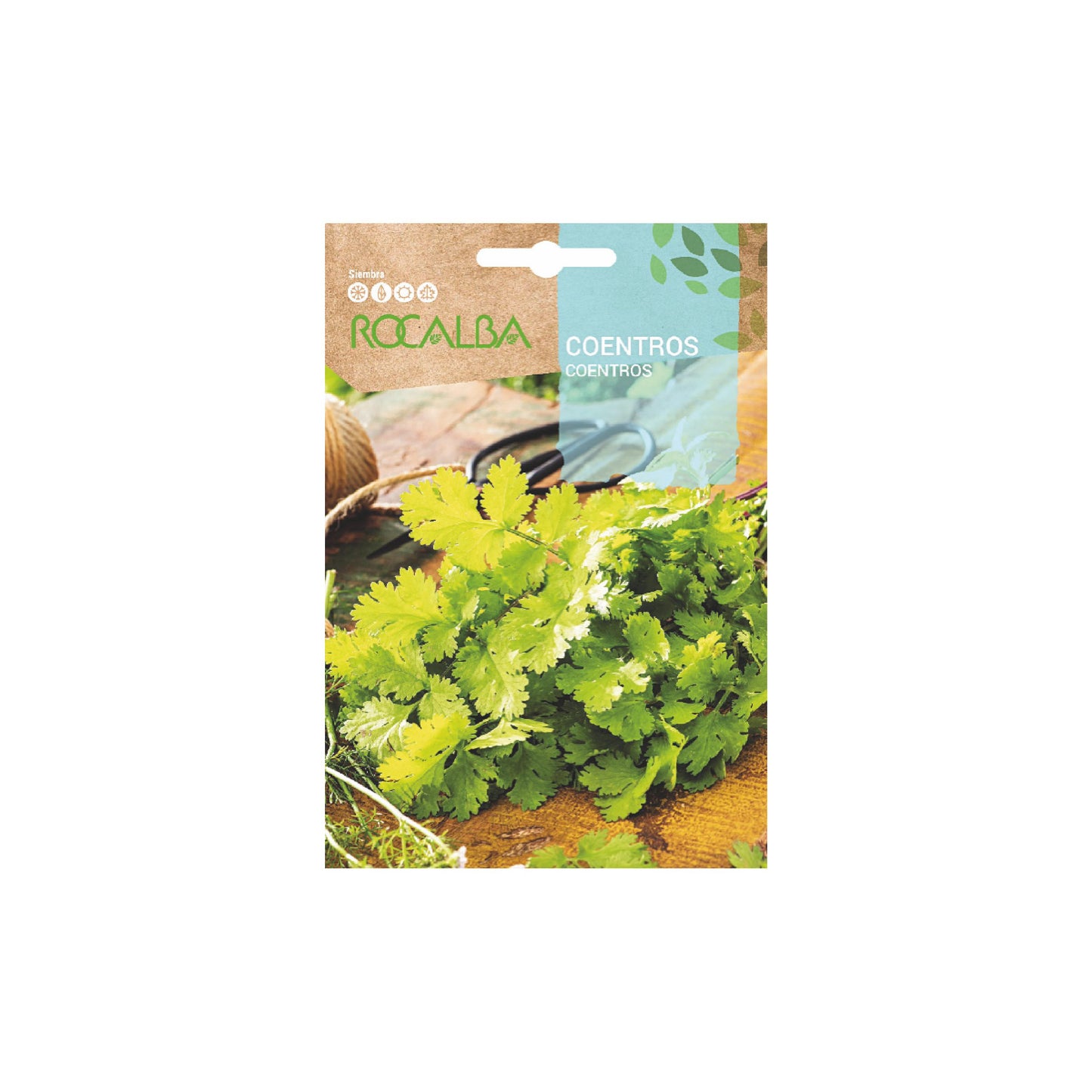 Sobre Semilla Rocalba Cilantro | AgroTerra Guatemala