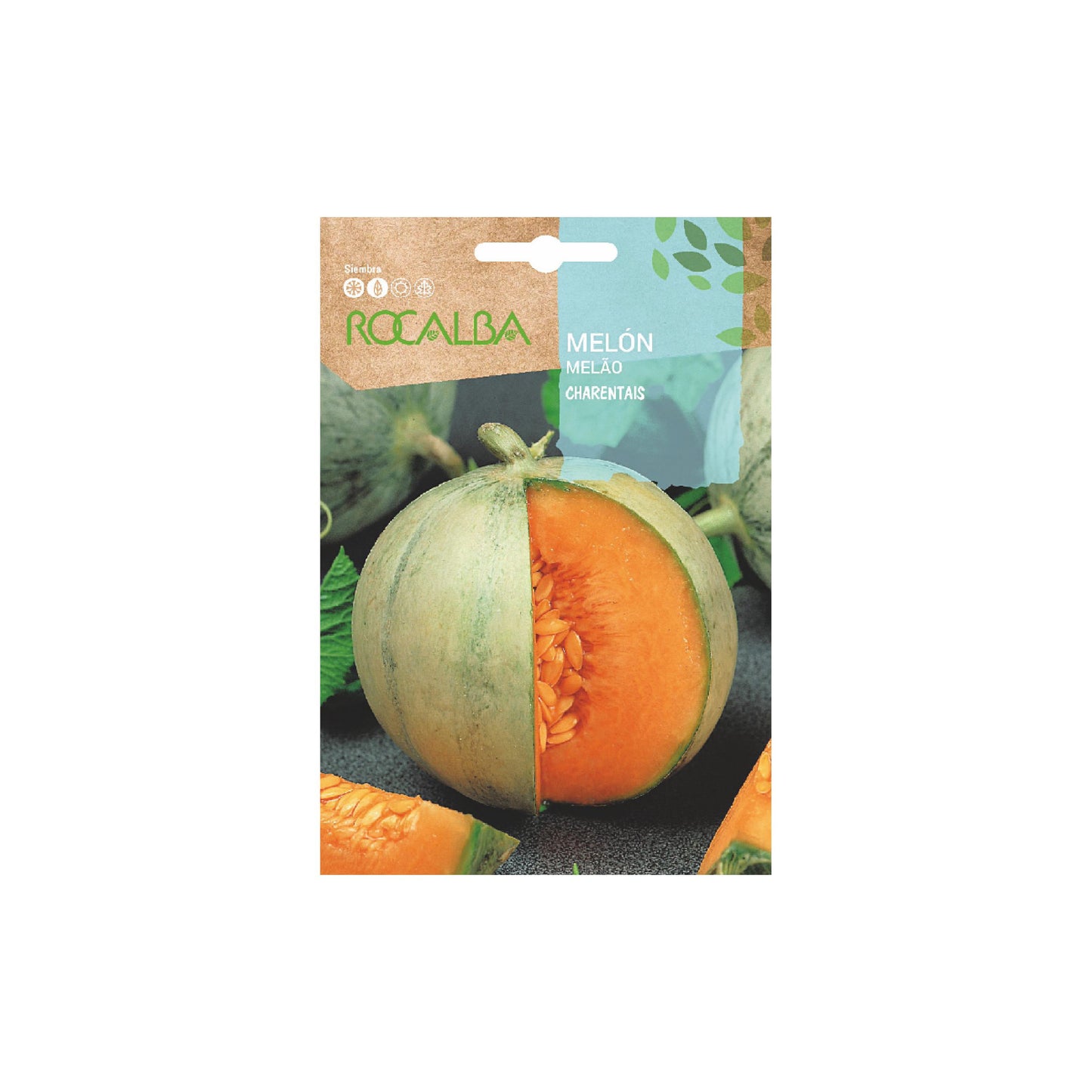 Sobre Semilla Rocalba Melon | AgroTerra Guatemala