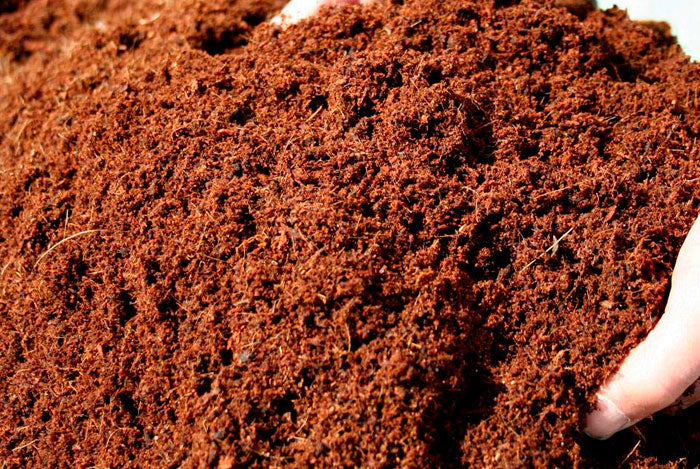 Sustrato Fibra de Coco Extra Fina Costal 100 LTS | AgroTerra Guatemala