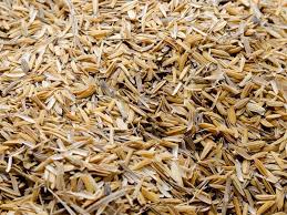Cascarilla de Arroz 