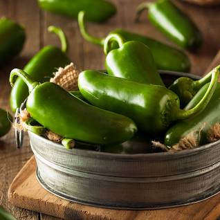 Chile Jalapeño | AgroTerra Guatemala
