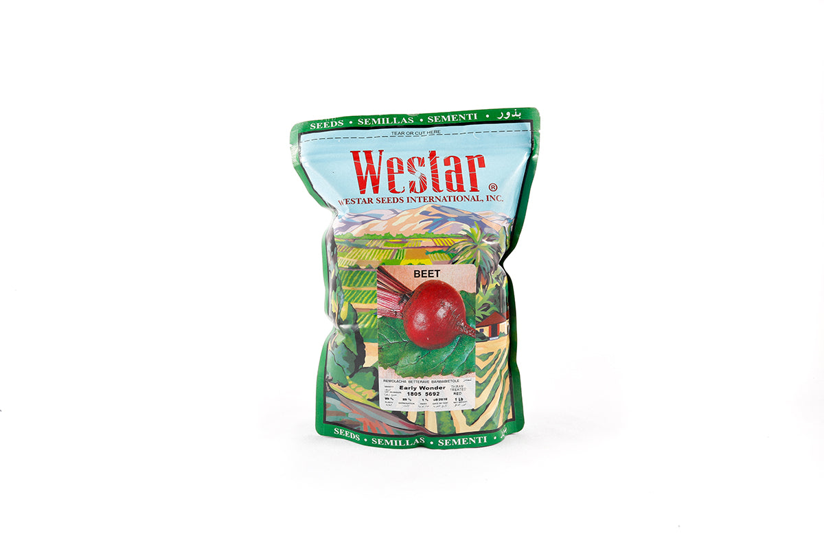 Semilla Remolacha Early Wonder 1LB Marca Westar | AgroTerra Guatemala