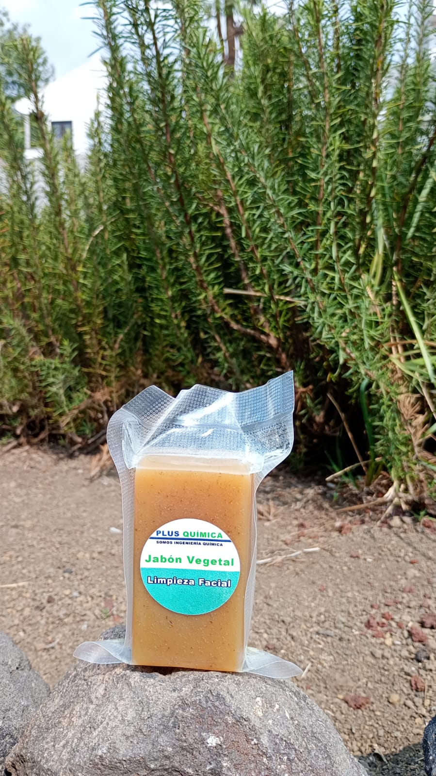 Jabon Natural de Limpieza Facial - Jabón Natural Artesanal | AgroTerra