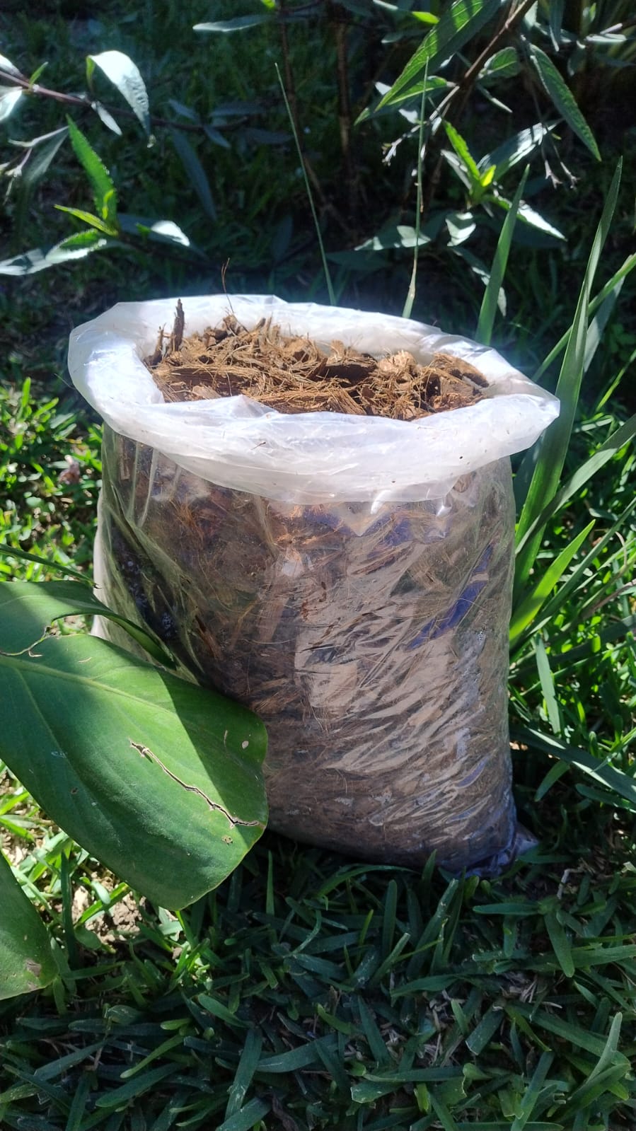 Sustrato Fibra de Coco por Libra Diferentes Presentaciones | AgroTerra Guatemala