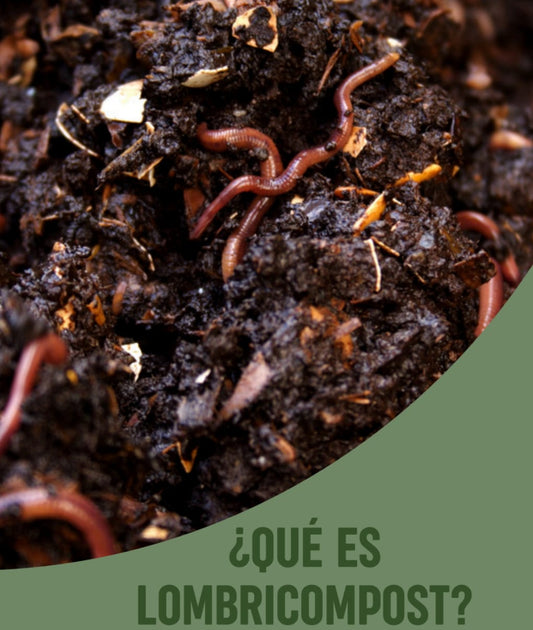 Lombricompost Agroterra Humus de Lombriz Orgánico 100 lb Guatemala - Sustrato Orgánico | AgroTerra Guatemala