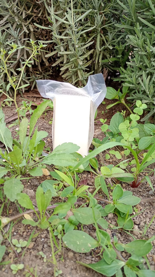 Jabón Shampoo Anticaspa y Anticaida Barra 100 GMS. - Jabón Natural Artesanal | AgroTerra