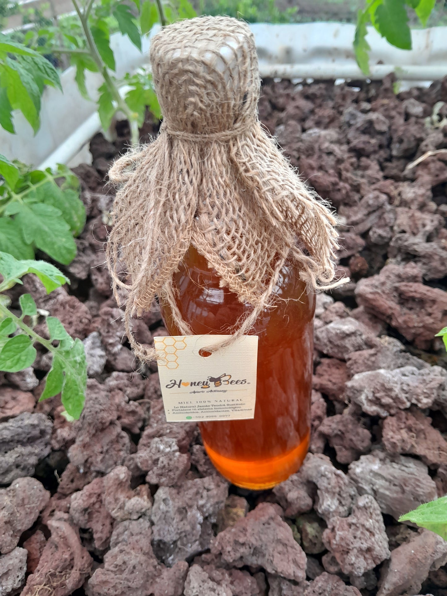 Nectar Miel de Abejas No Filtrada - 100% Pura | AgroTerra Guatemala