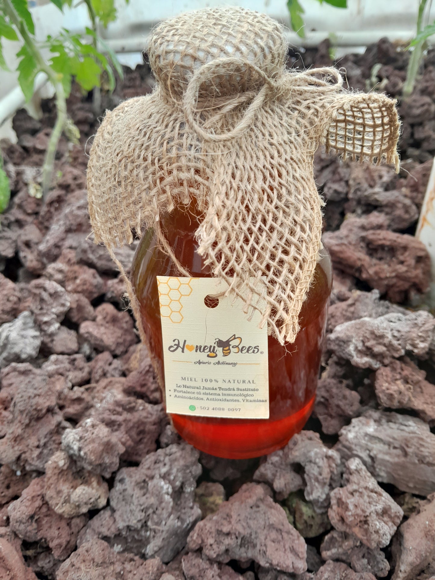 Nectar Miel de Abejas No Filtrada - 100% Pura | AgroTerra Guatemala