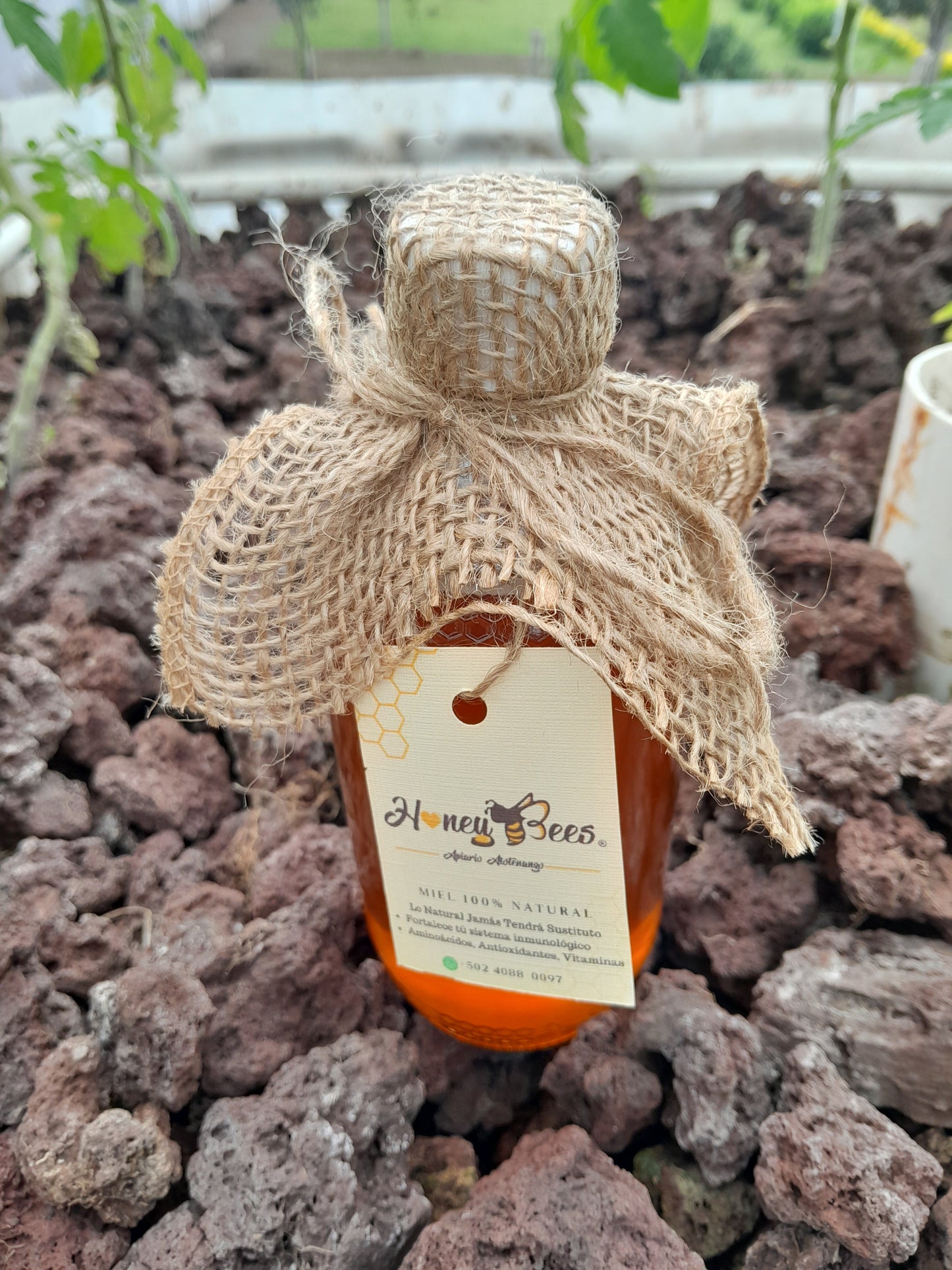 Nectar Miel de Abejas No Filtrada - 100% Pura | AgroTerra Guatemala