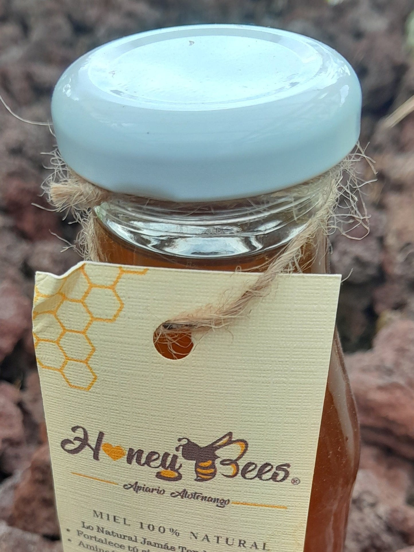 Nectar Miel de Abejas No Filtrada - 100% Pura | AgroTerra Guatemala