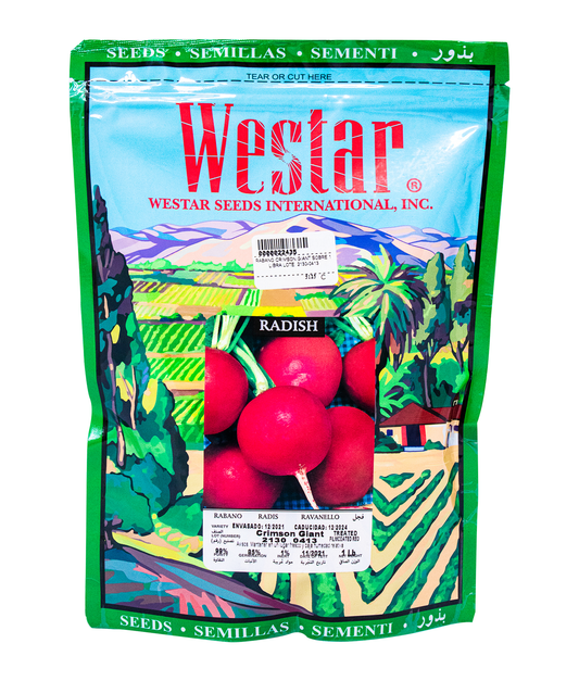 Semilla Rabano Crimson Giant Marca Westar Libra | AgroTerra Guatemala