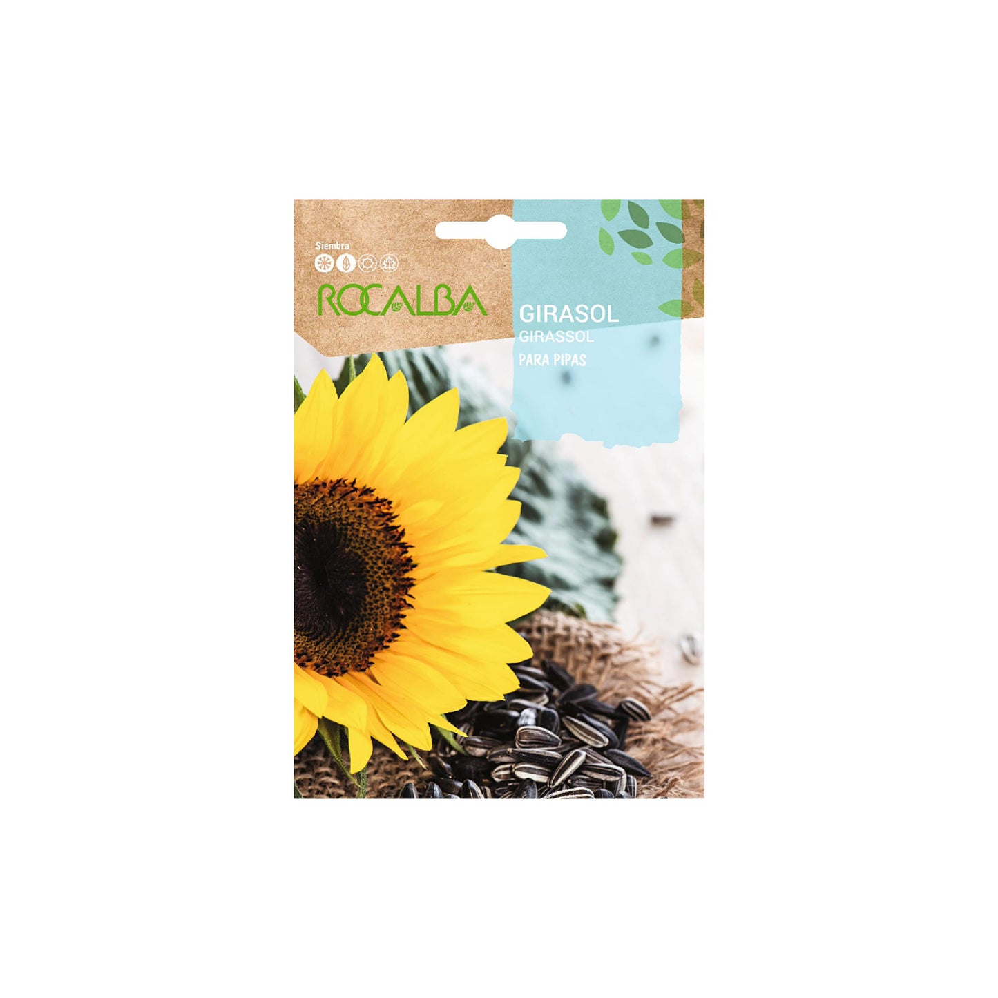 Sobre Semillas Rocalba Girasol | AgroTerra Guatemala