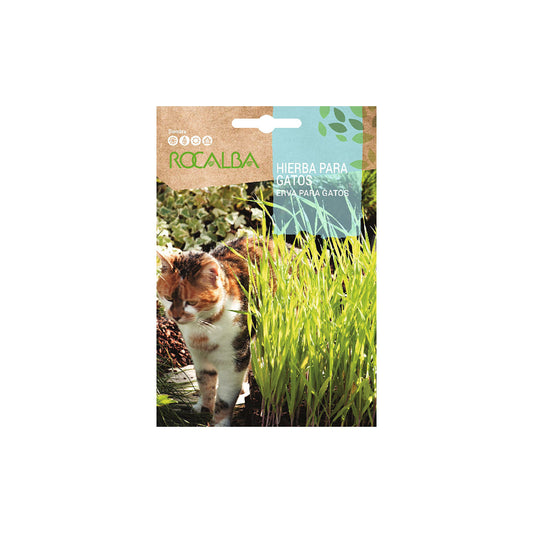 Sobre Semilla Rocalba Hierba para Gato | AgroTerra Guatemala