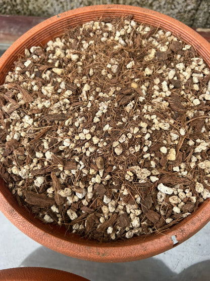 Sustrato Fibra de Coco Fina con Piedra Pomez saco 100 LTS.
