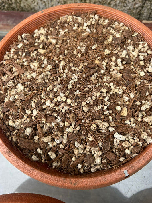 Sustrato Fibra de Coco Fina con Piedra Pomez saco 100 LTS.