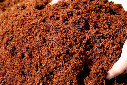 Sustrato Fibra de Coco Extra Fina Costal 100 LTS | AgroTerra Guatemala