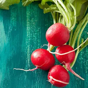 Semilla Champion Marca Corona 1LB | AgroTerra Guatemala