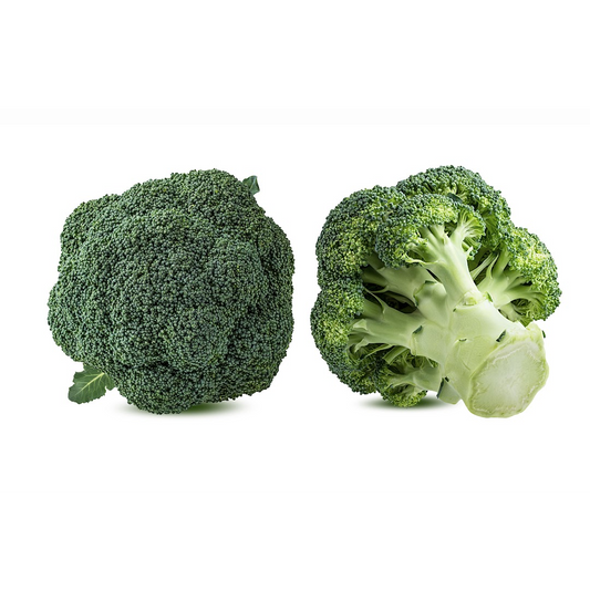 Broccoli Organico Grande Unidad | AgroTerra Guatemala