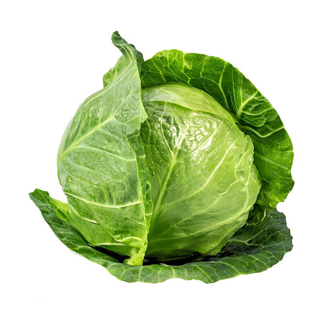 Repollo Verde Pequeño Orgánico Unidad | AgroTerra Guatemala
