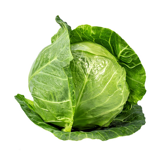 Repollo Verde Pequeño Orgánico Unidad | AgroTerra Guatemala